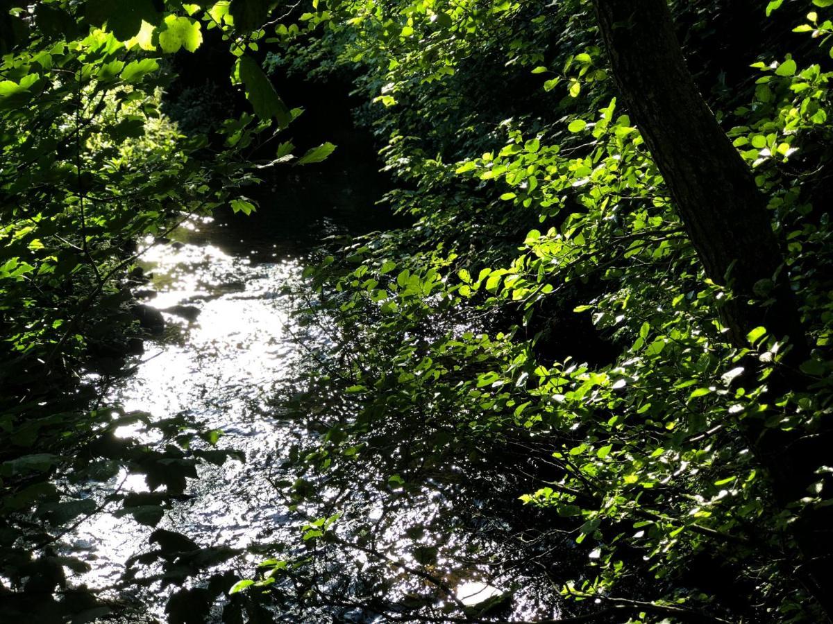 Otter Lodge 오치터라더 외부 사진