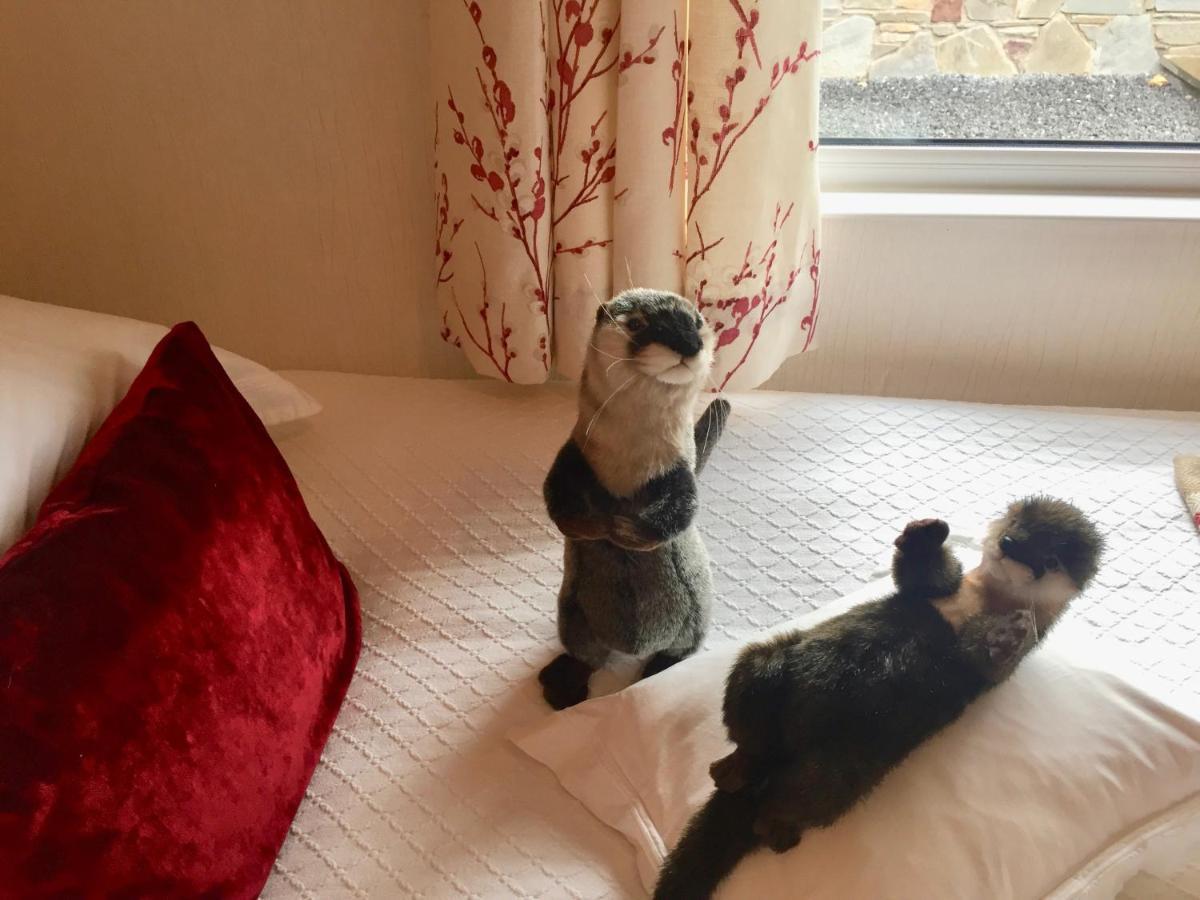 Otter Lodge 오치터라더 외부 사진